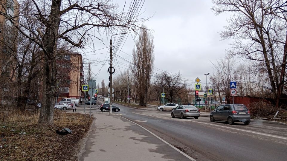 В Курске на Сумской снесут тополя