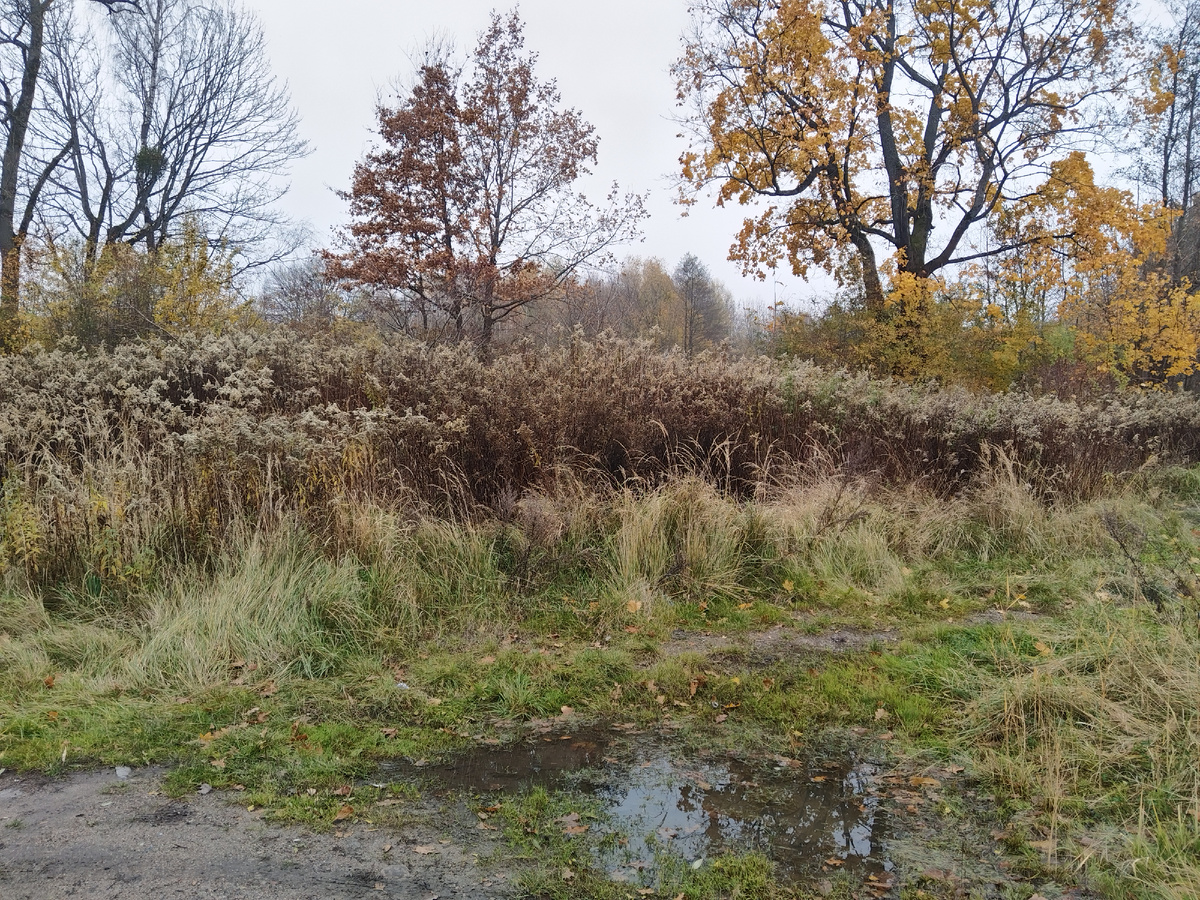 Подход к крепости. Фото из личного архива.