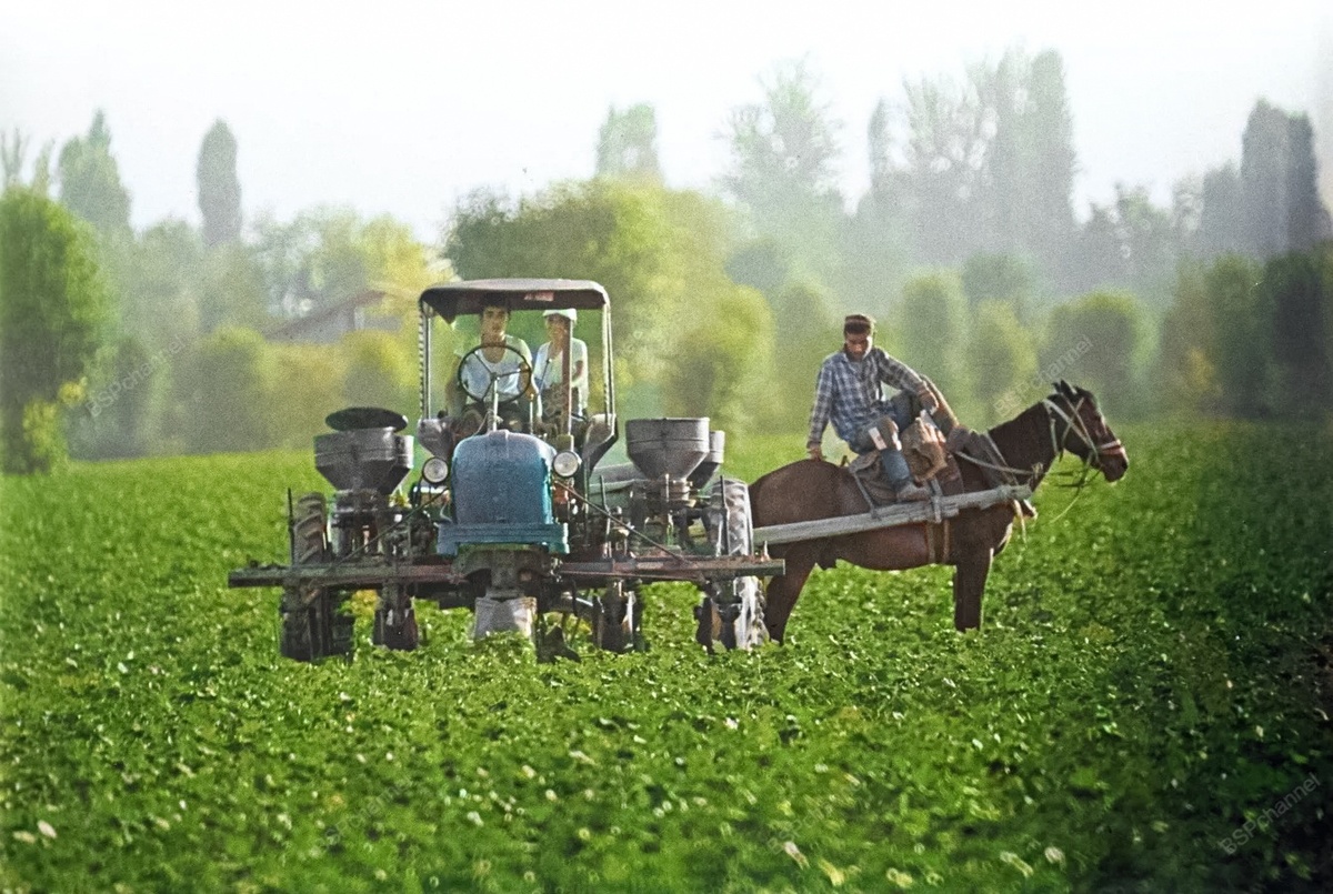 Фотограф: Виктор Чернов