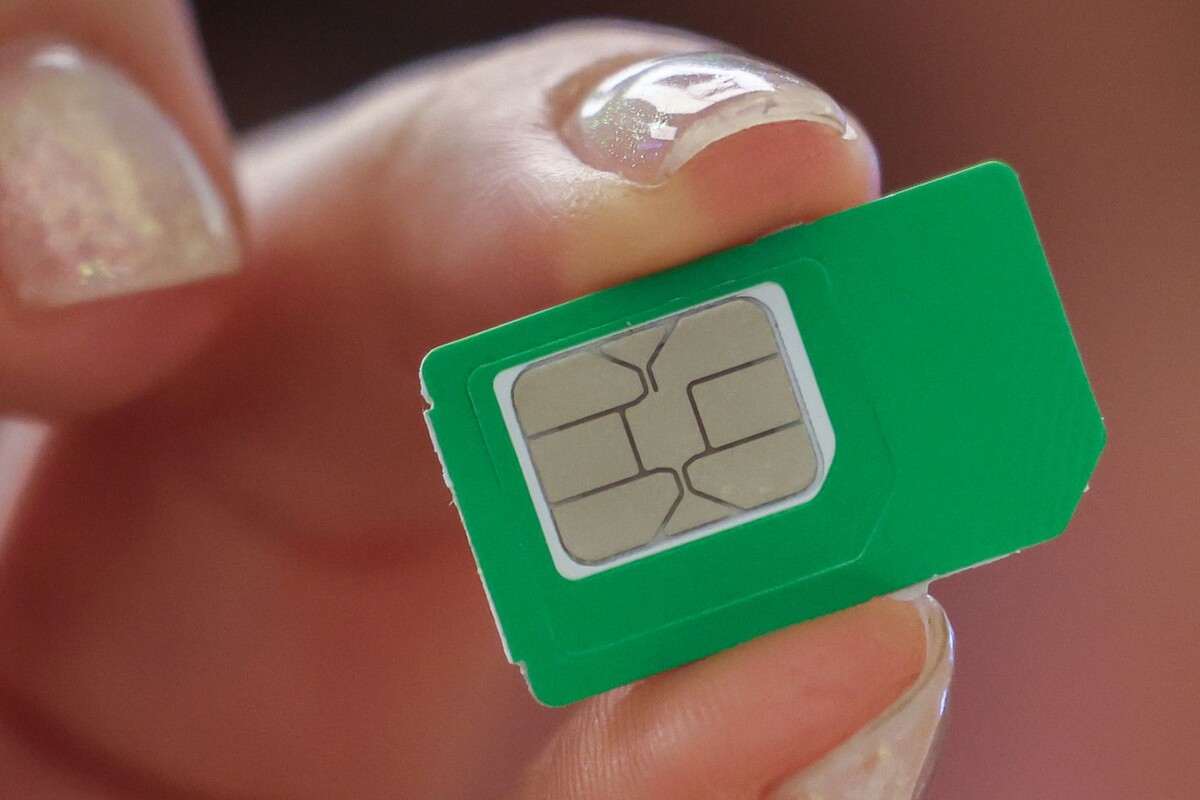     / Источник: © Belkin Alexey/Global Look Press