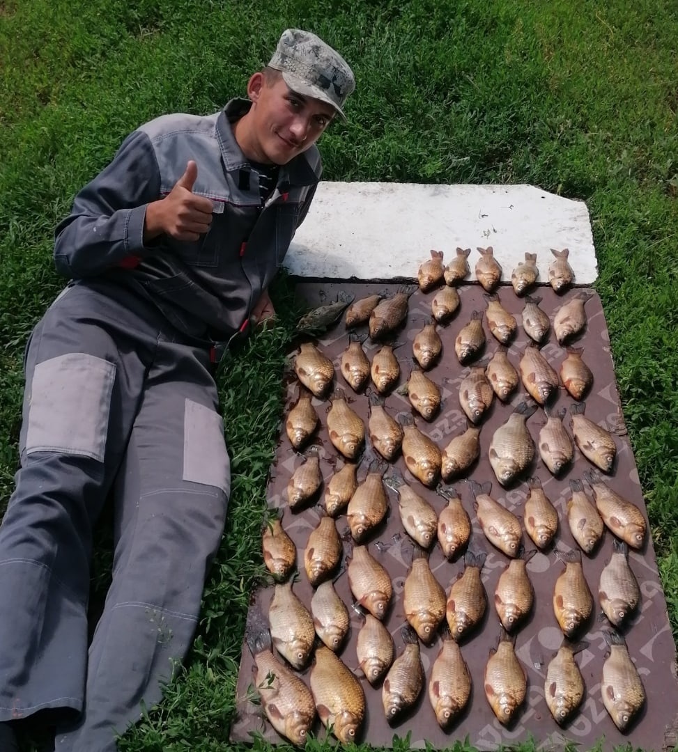 Хороший улов не правда ли? 