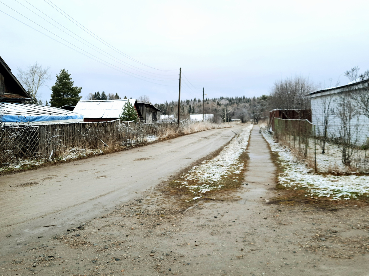 Наверное, тот лес вдали тоже волшебный