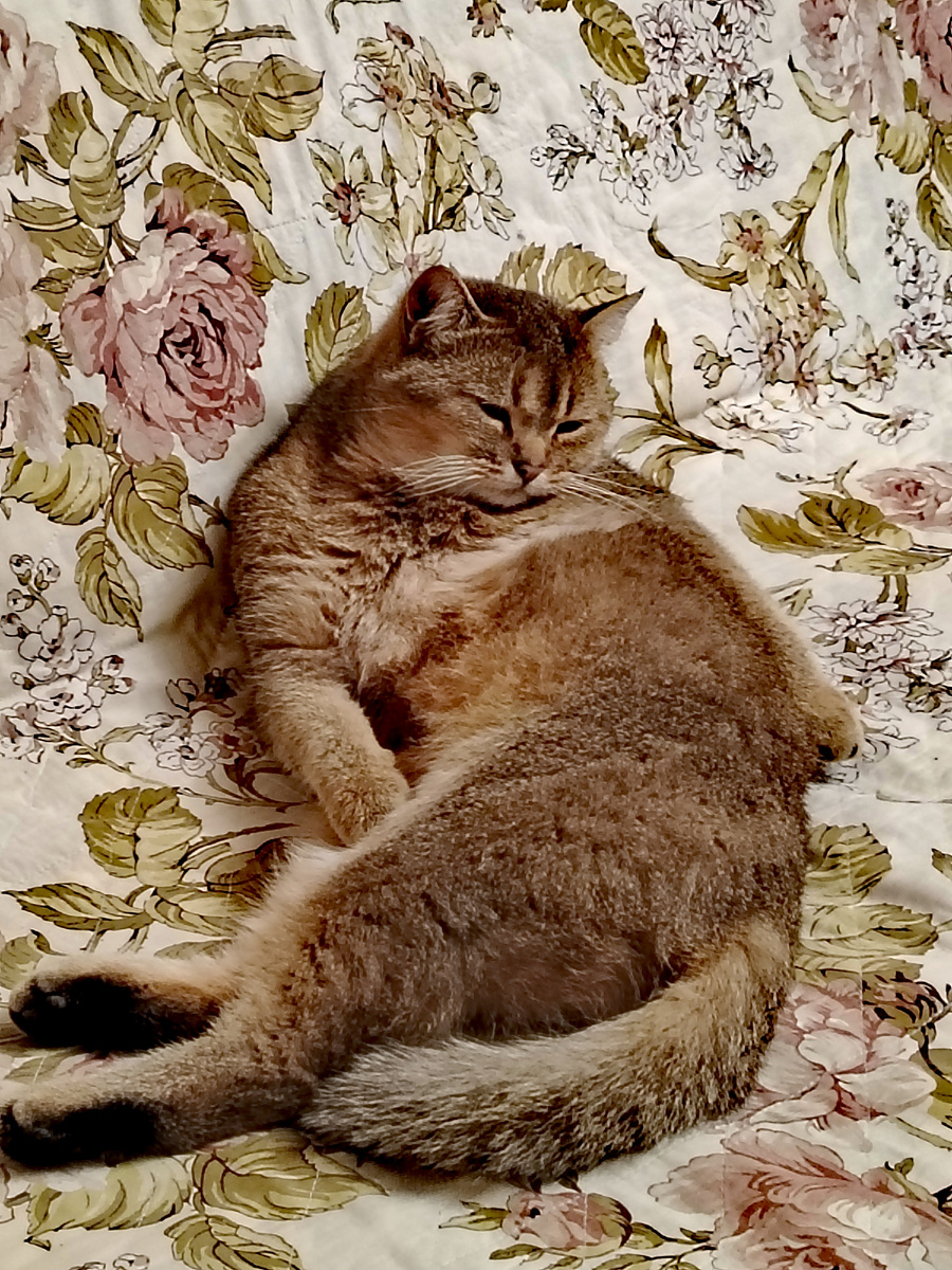 Ну и ужасы ты, хозяйка, рассказываешь. Хорошо, что я флегматик. Зажировка - вот тема! 