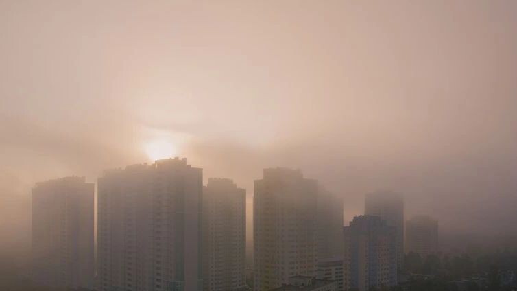    Фото: Kateryna Mostova/Shutterstock/Fotodom