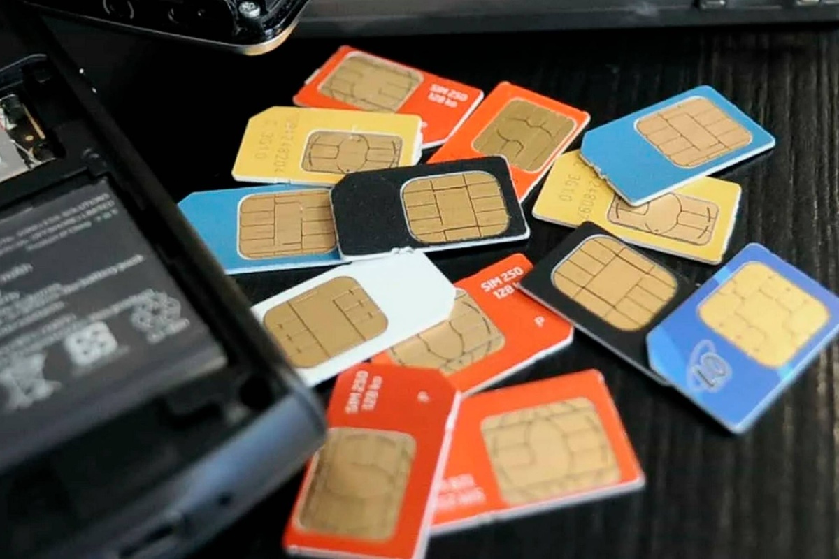    Фото: кадр из видео на RuTube, источник: Телеканал МИР