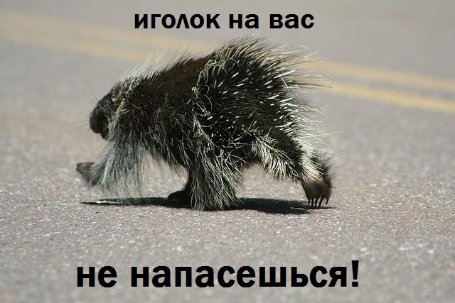 Неудачный день, однако.