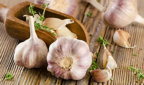Почему раз в неделю обязательно нужно есть чеснок