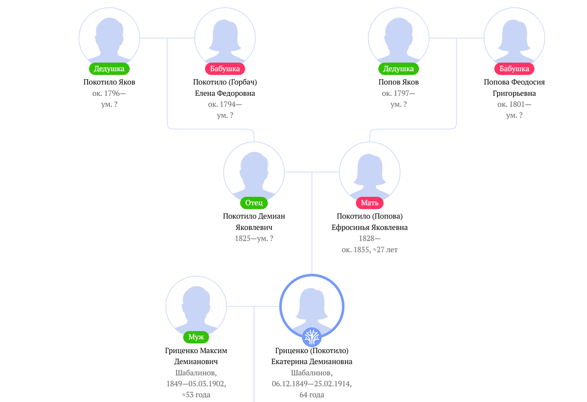 Фрагмент древа Покотило-Поповы (familio.org).