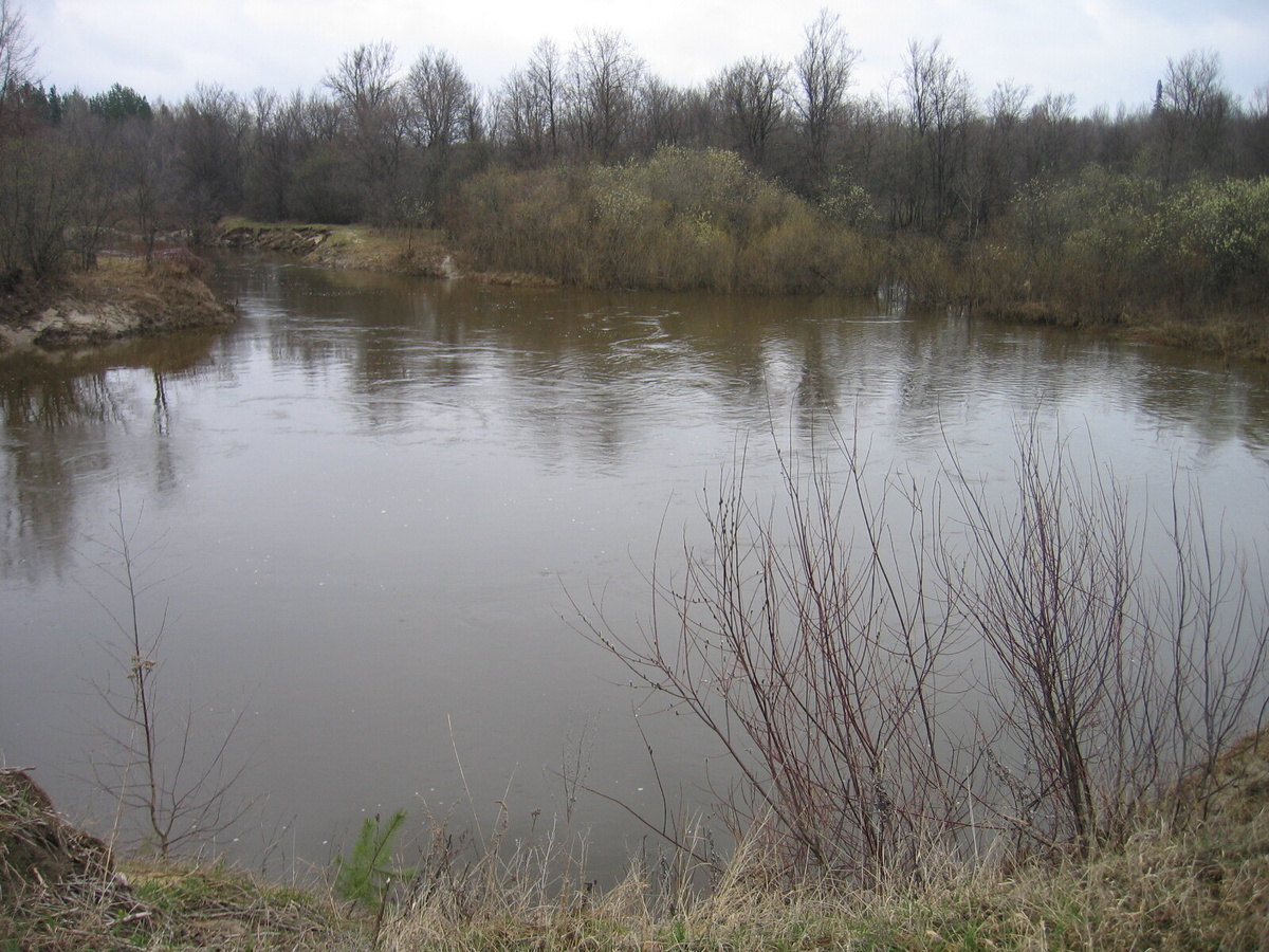 
Река Илеть в Республике Татарстан
Фото: © Команда «Кочующие»