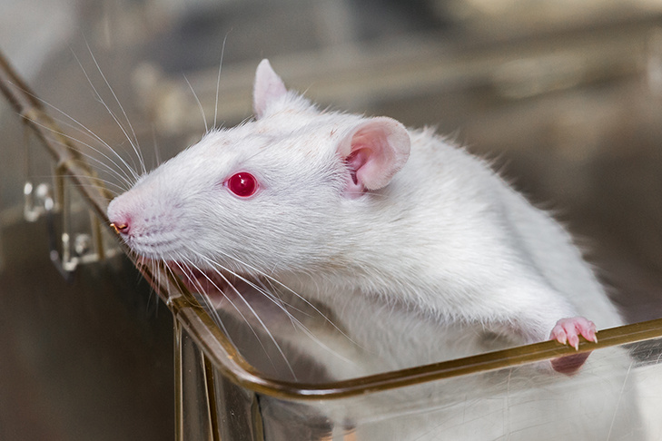    Фото из архива VN.ru