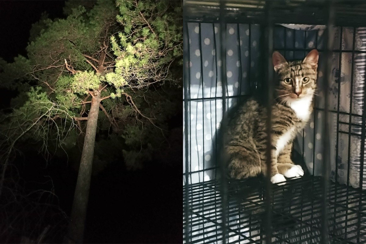     Фото: «ЗооСпас в Екатеринбурге», Жанна Гайно