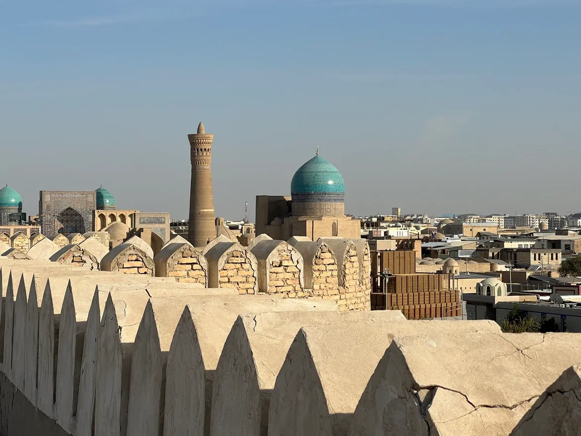 Узбекистан, Бухара, крепость Арк, вид со стены крепости на старый город. Фото автора