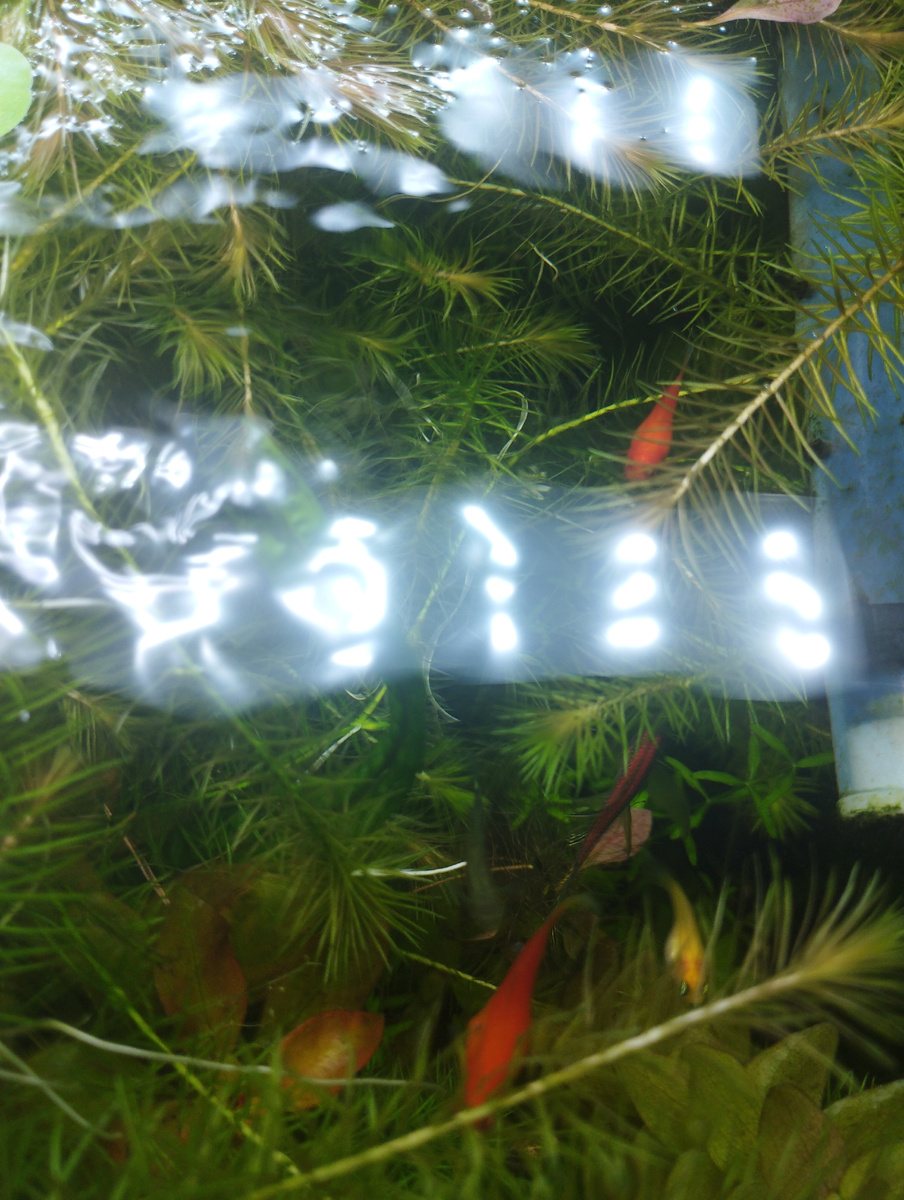 Джунгли зовут :))