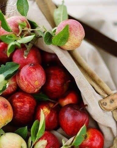 Фото сайта Pinterest 