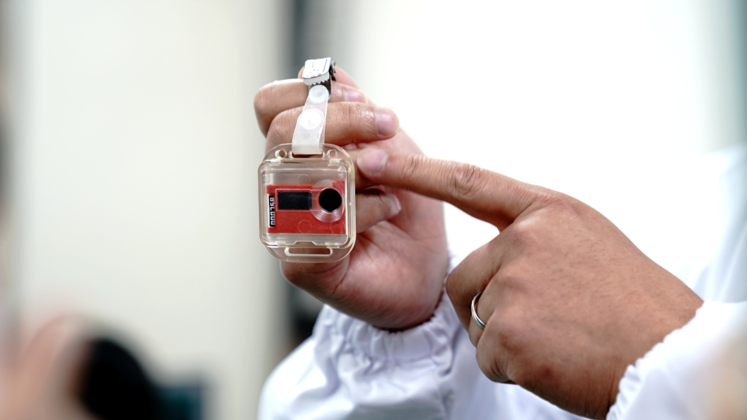    Фото: Zhang Jiansong/Globallookpress