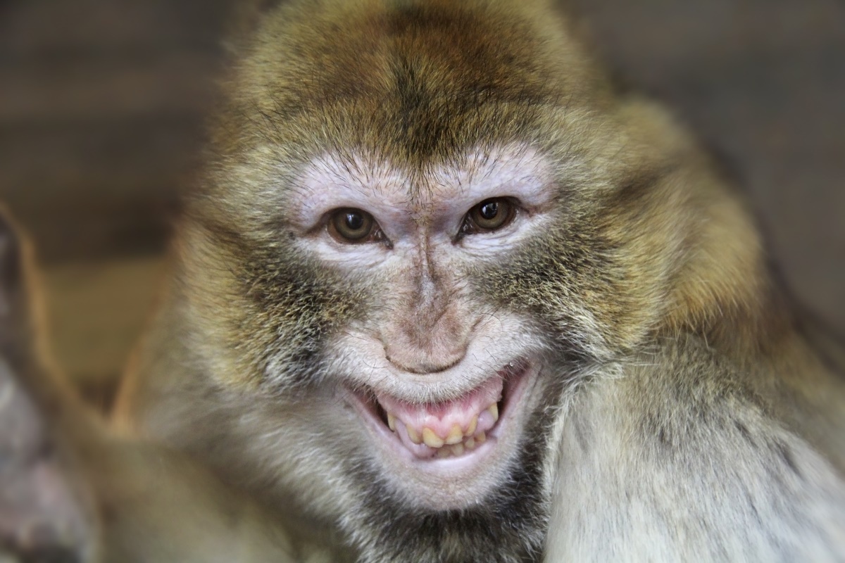 Фото с айта: https://stihi.ru/2021/07/25/1047