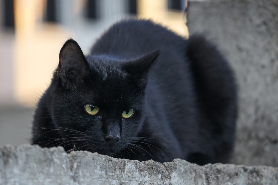    Сергей Булкин/NEWS.ru