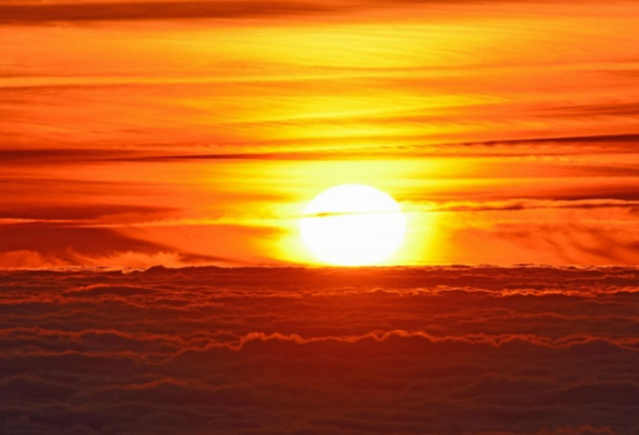 фото: pxhere.com