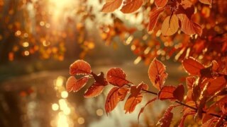    ru.freepik.com Юлия Виноградова