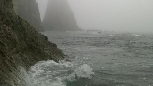 У каждой территории должна быть своя красивая легенда / Фото: Vostok.Today