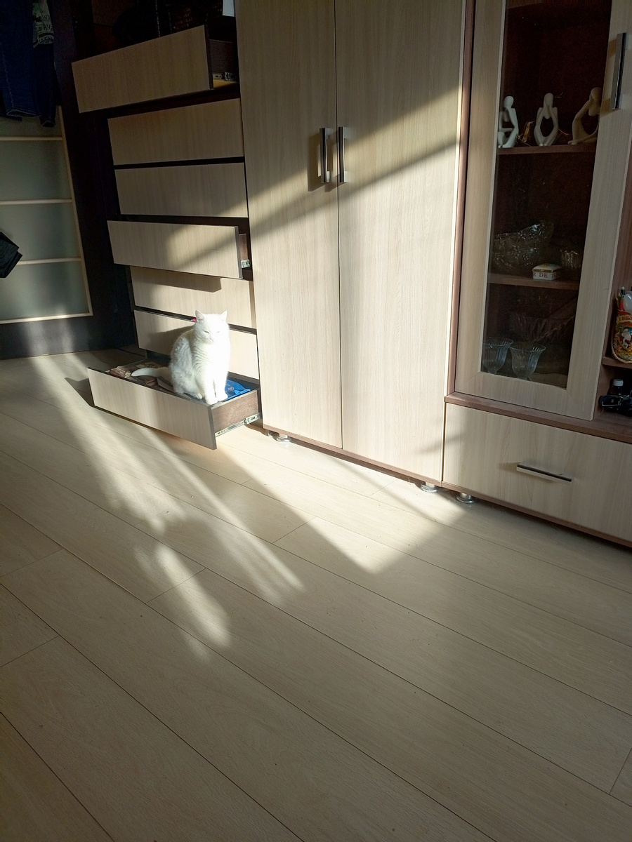 Больше негде сидеть .