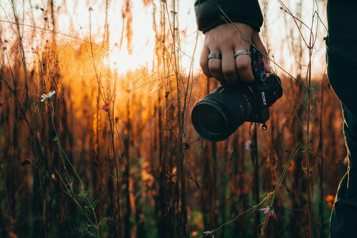    Ручная фокусировка — не пережиток прошлого, а важный инструмент для осознанного фотографа, который отличает его от просто владельца камеры / Фото: unsplash.com