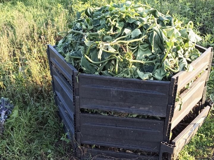 Компост от А до Я: шикарное удобрение без лишних хлопот