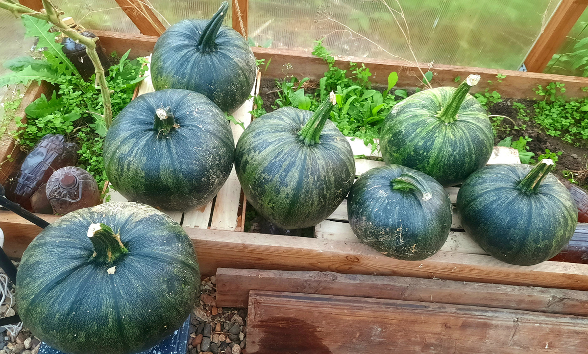 Фото автора.  