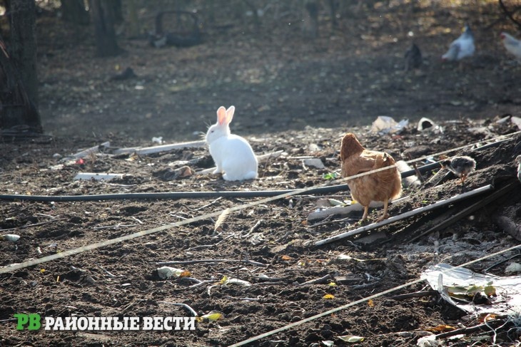 Фото Л.Воротынцевой Наталья Игнатова  📷
