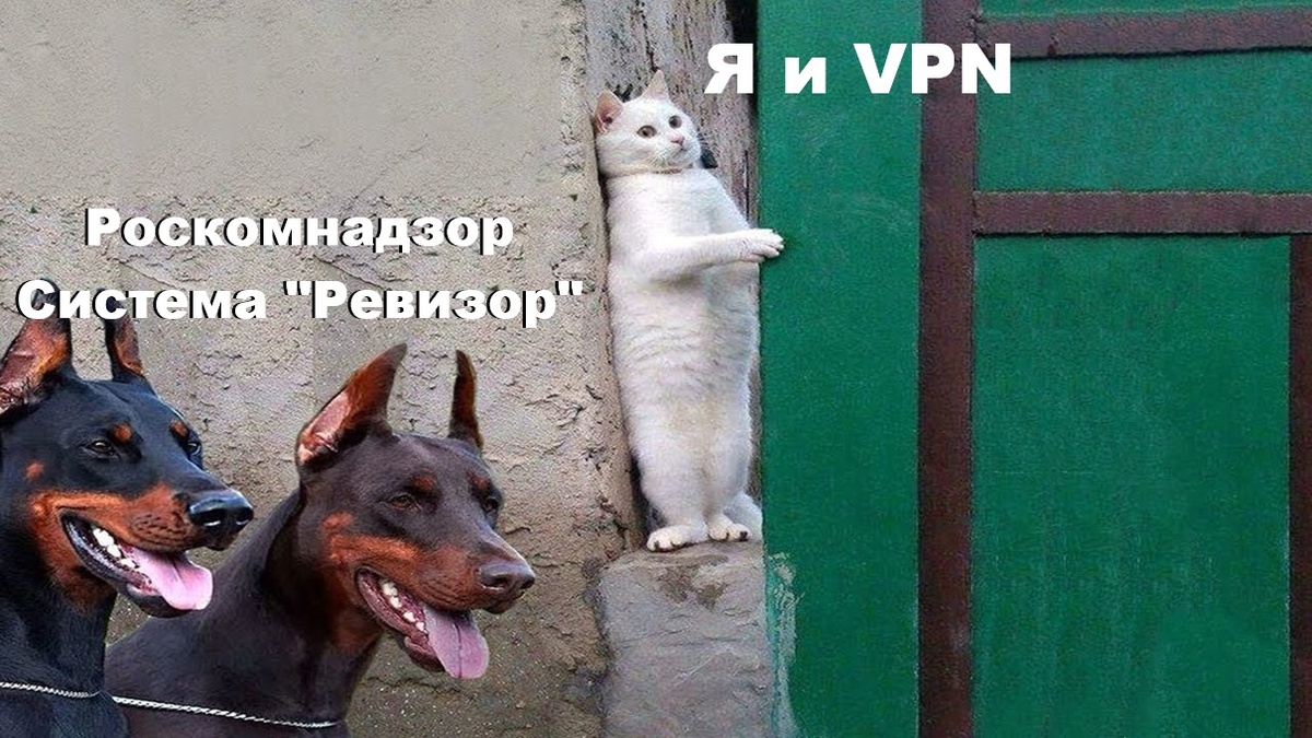 Загадка VPN: личный «невидимый» щит. VPN – что это (простыми словами)