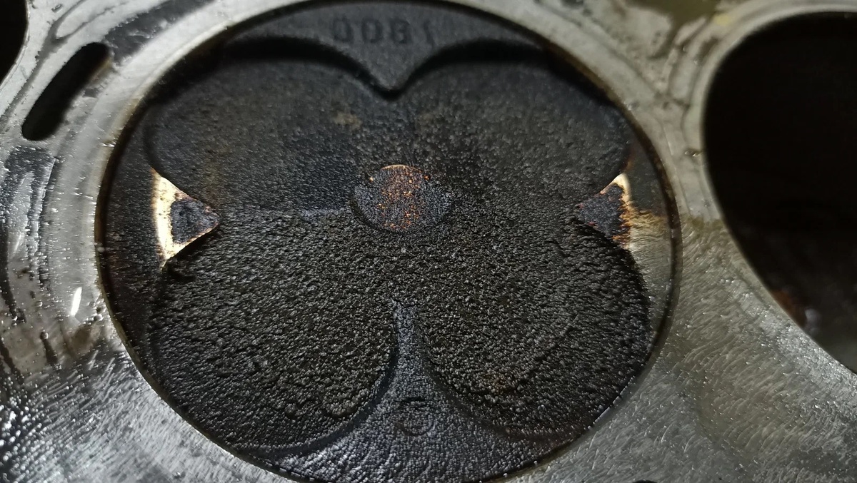 Фото: Shutterstock