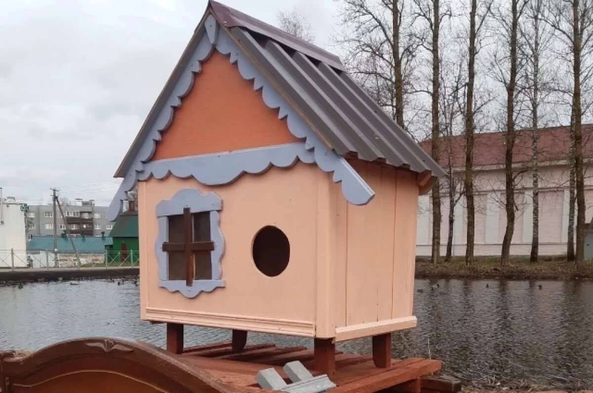    В великолукской деревне жители построили городок для кошек