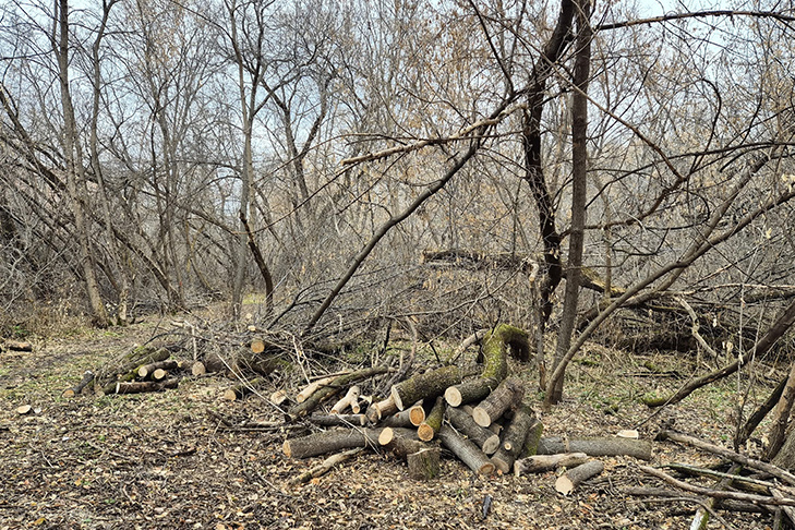    Фото "Бугринский комитет"
