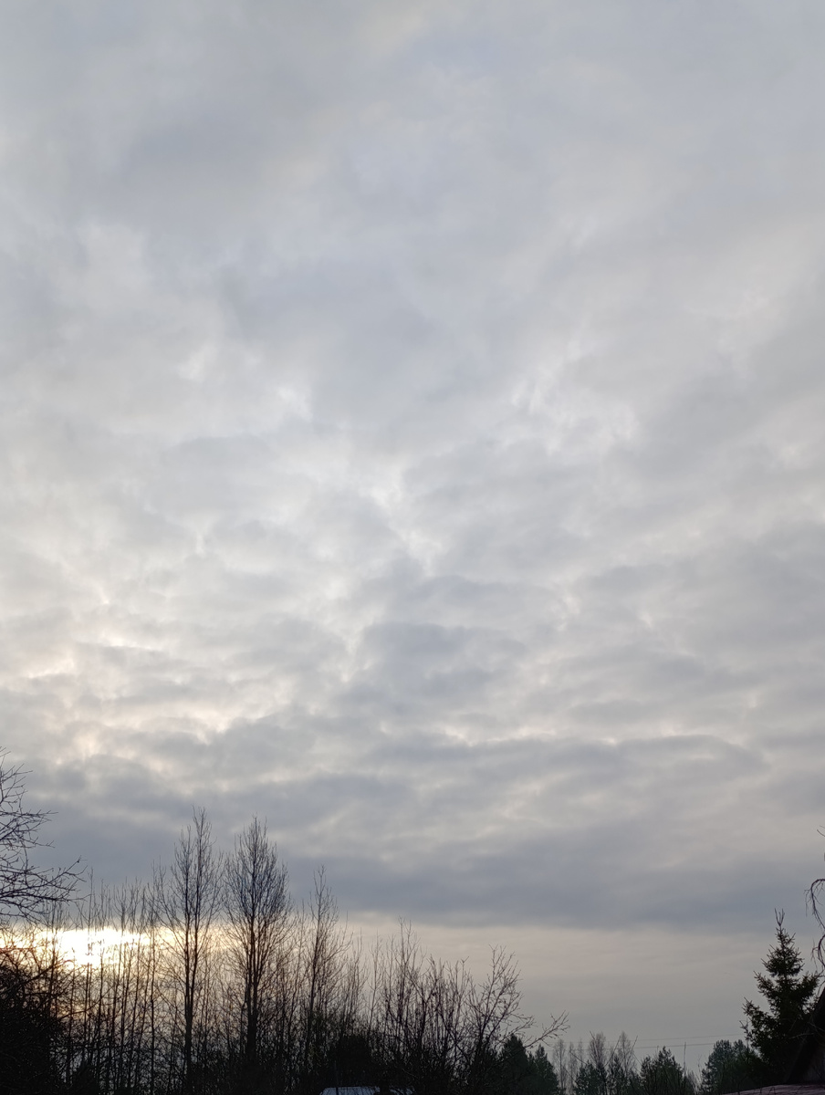 Словно в парном молоке горизонт