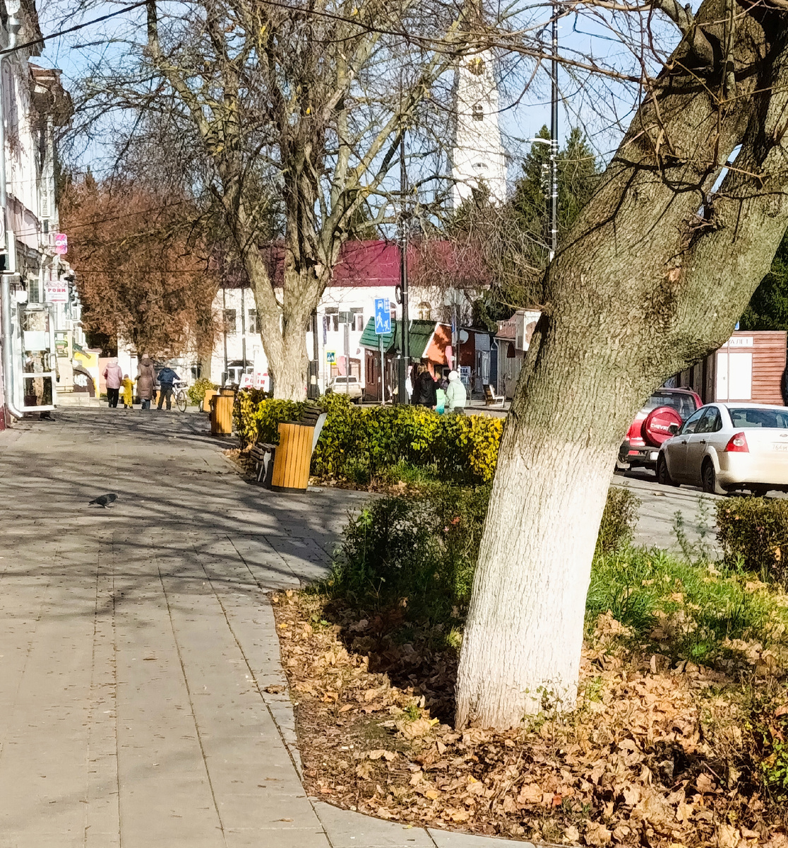 Сегодня был погожий осенний денёк 
