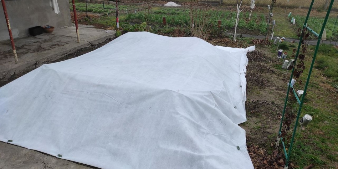 Как правильно укрыть розы на зиму: 7 ошибок, которых можно избежать