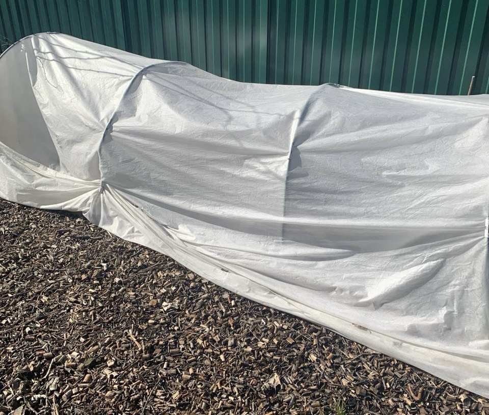 Фото из чата Дачный агроном 