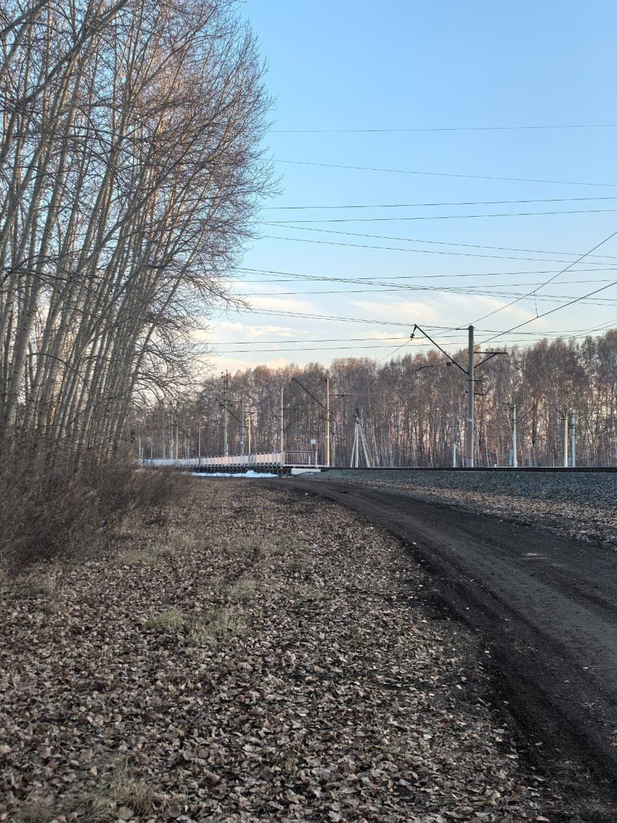 Место нападения на женщину