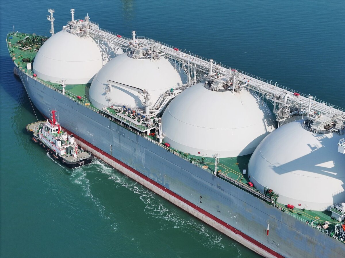     / Источник: © Cfoto/Global Look Press