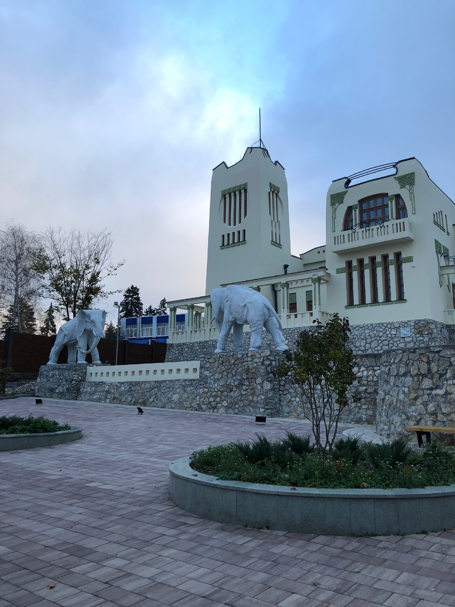 Слоны на даче Головкина. Фото автора.