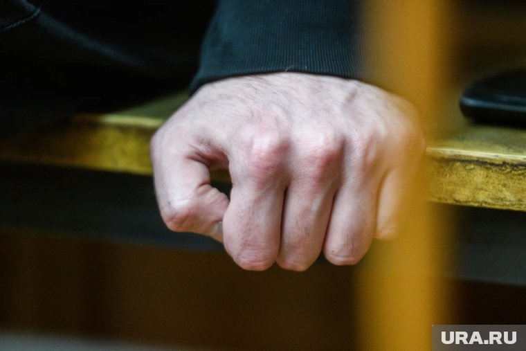     Рецидивиста заключили под стражу