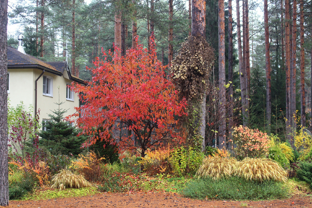 2 ноября. На следующем слайде в подборке - "фамилии" других участников группового снимка