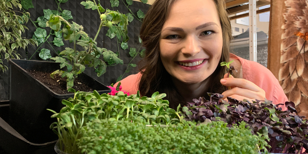 Выращиваем микрозелень дома: что посеять, как ухаживать и как собирать