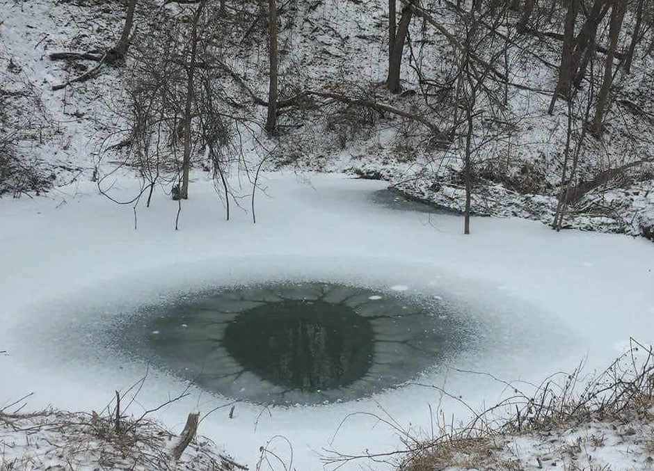 Фото: Яндекс картинки