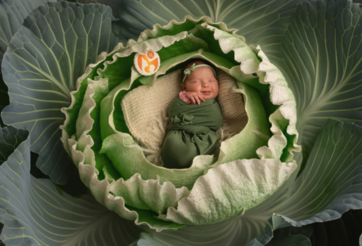 фото: t.me/perinatal_centr_lokb/515