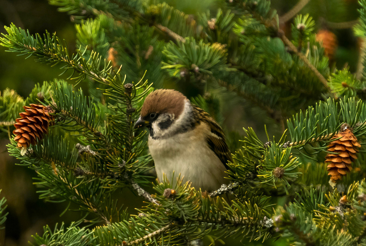 Личное фото автора
