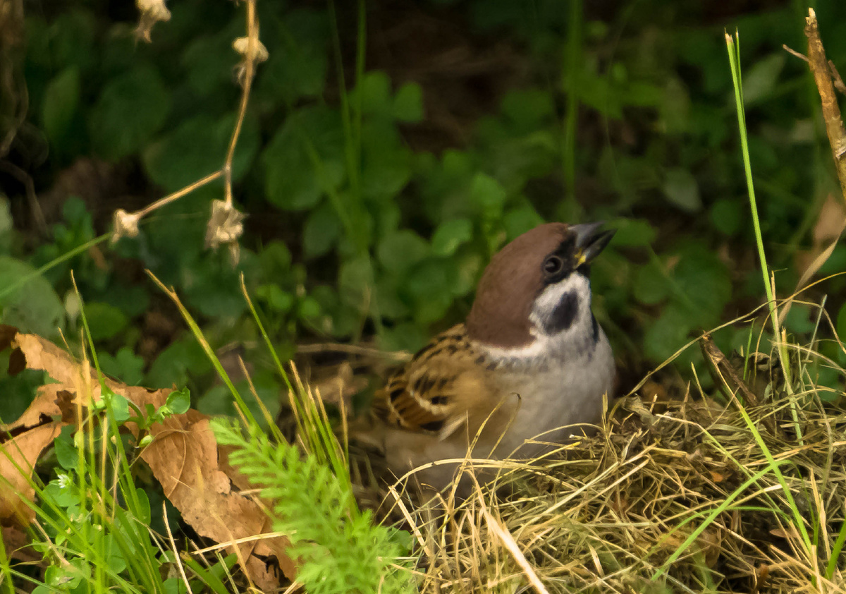Личное фото автора