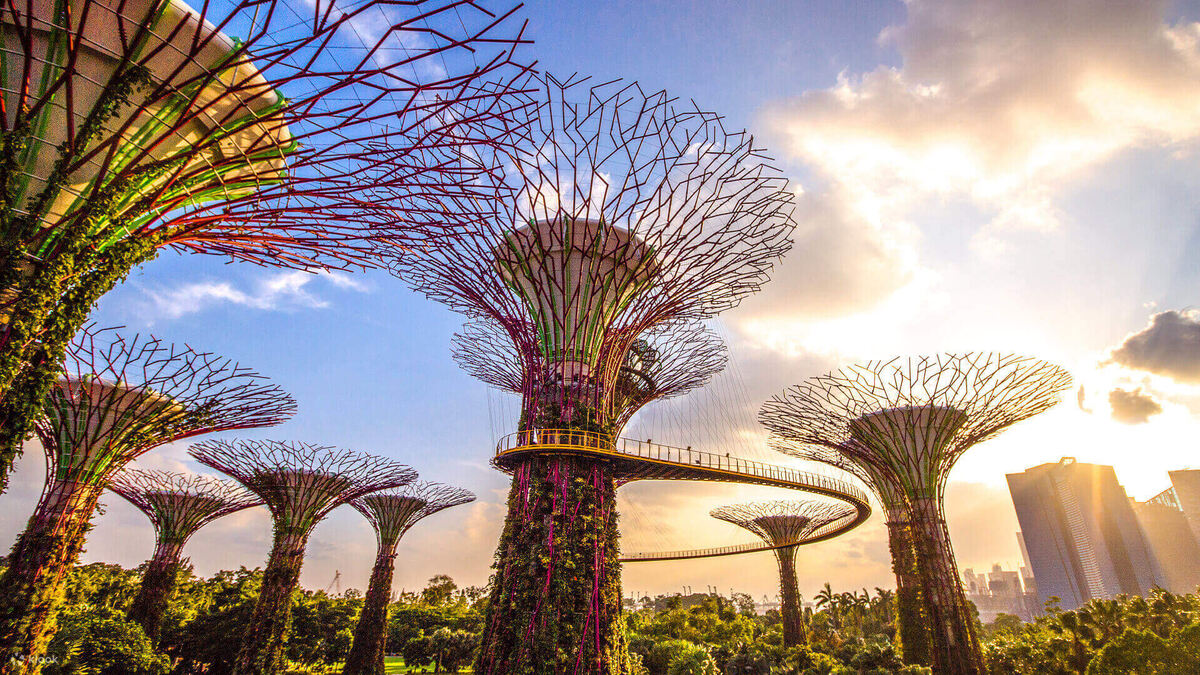 Gardens by the Bay, Supertree
