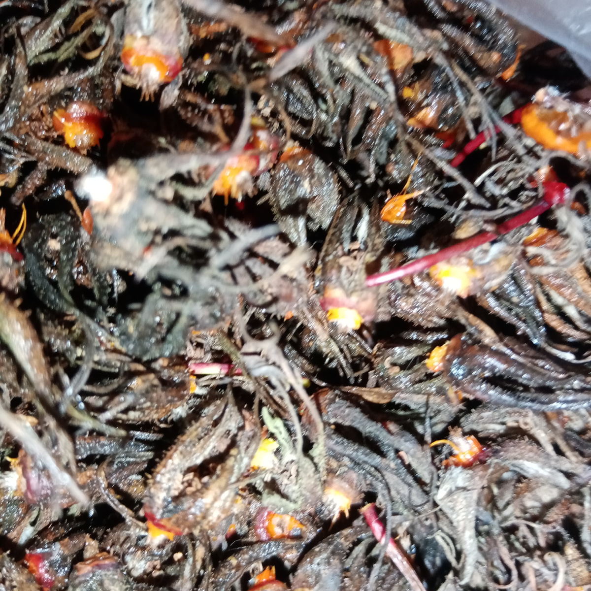 Короны отдельно. 