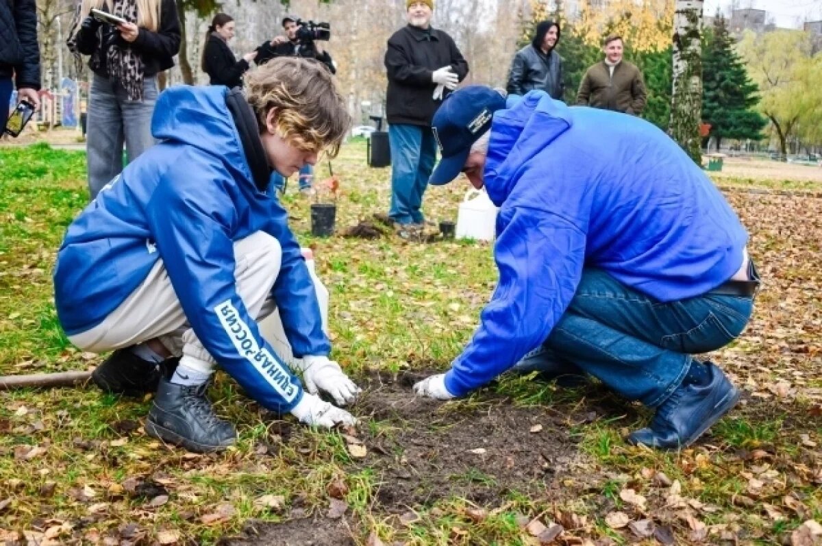    В парке Твери к празднику высадили молодые дубы